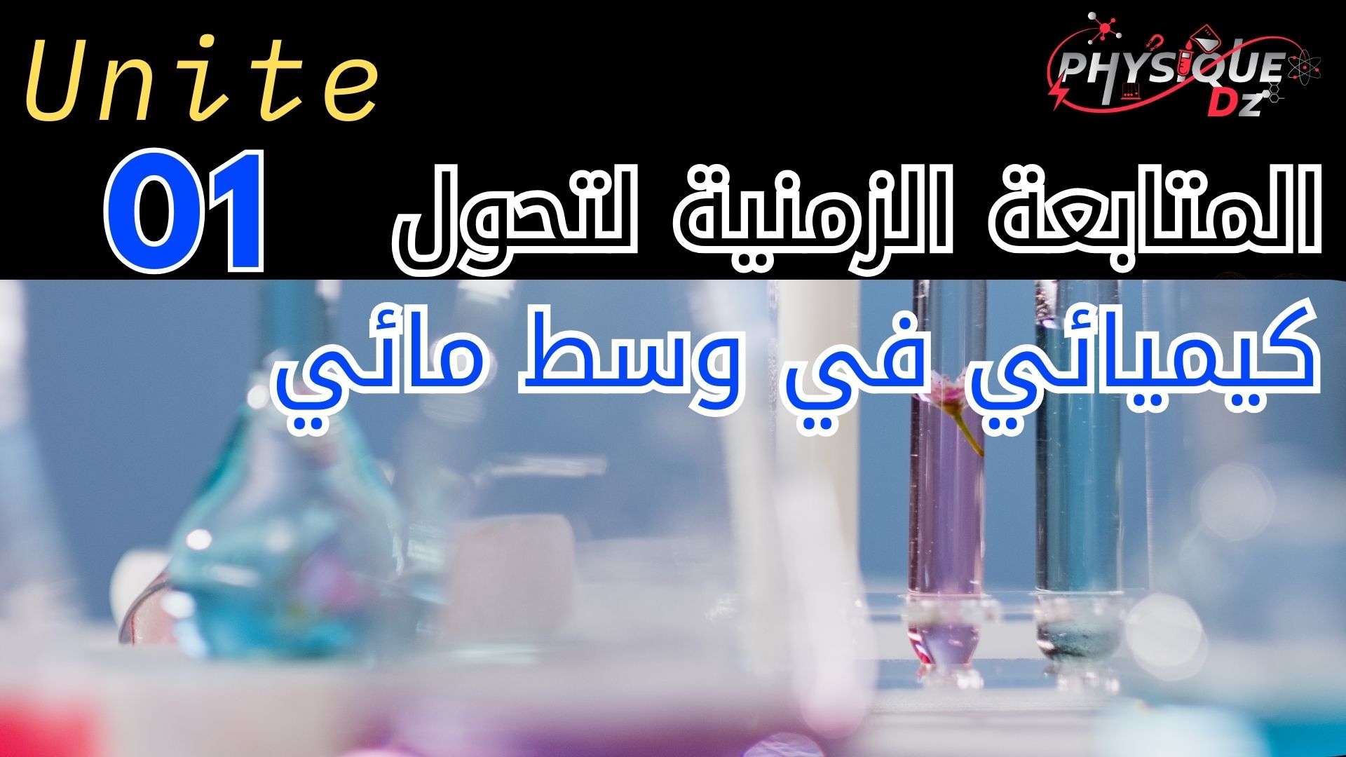 منشورات المنصة الجديدة (2)